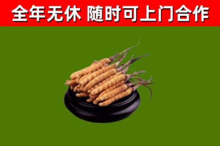 杏花岭烟酒回收冬虫夏草.jpg